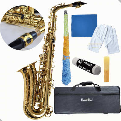 Saxofone Alto Klassic Wind Fas100l Laqueado