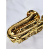 Saxofone Alto Klassic Wind Fas100l Laqueado - 1